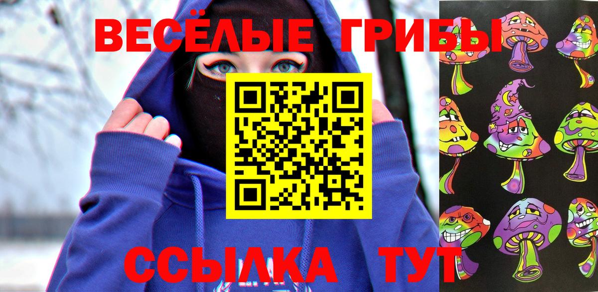 Псилоцибиновые грибы GOLDEN TEACHER Санкт-Петербург