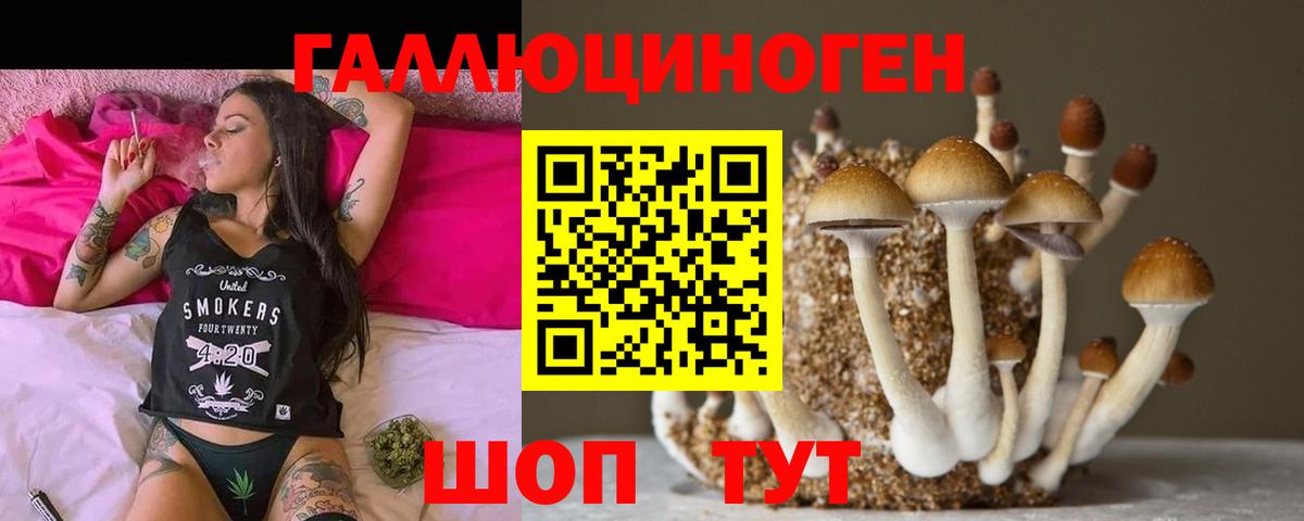 Галлюциногенные грибы мухоморы  даркнет сайт  Санкт-Петербург  Галлюциногенные грибы Psilocybine cubensis  Вход с VPN 